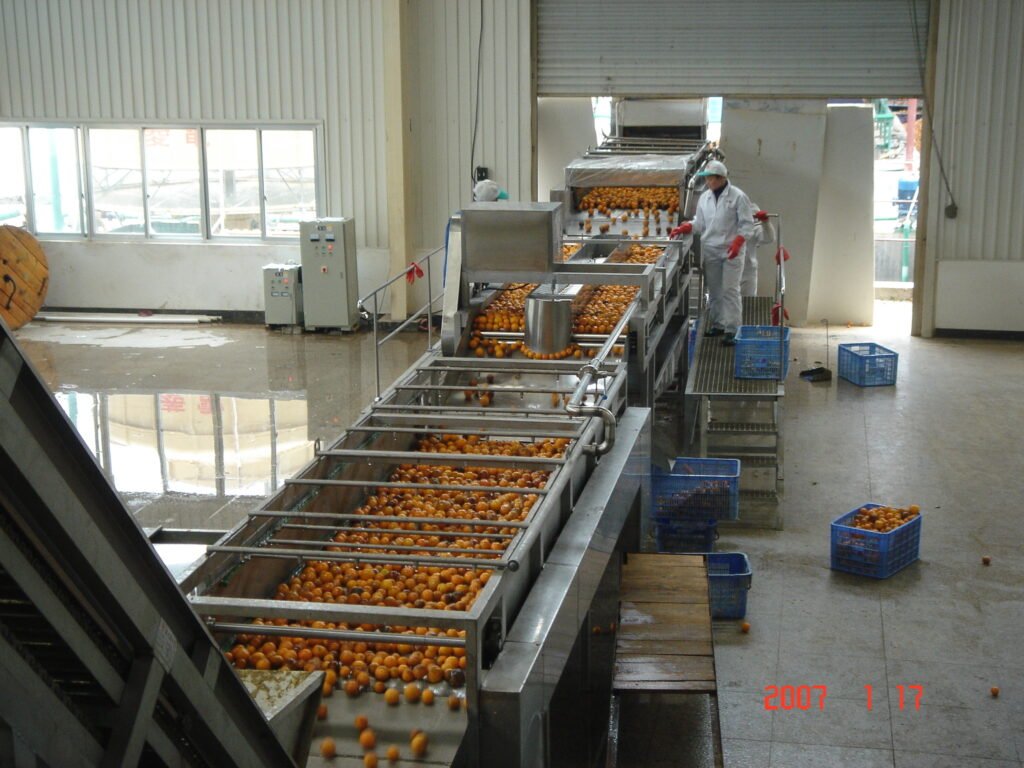 orange processing machine line-Goldcheer Machinery