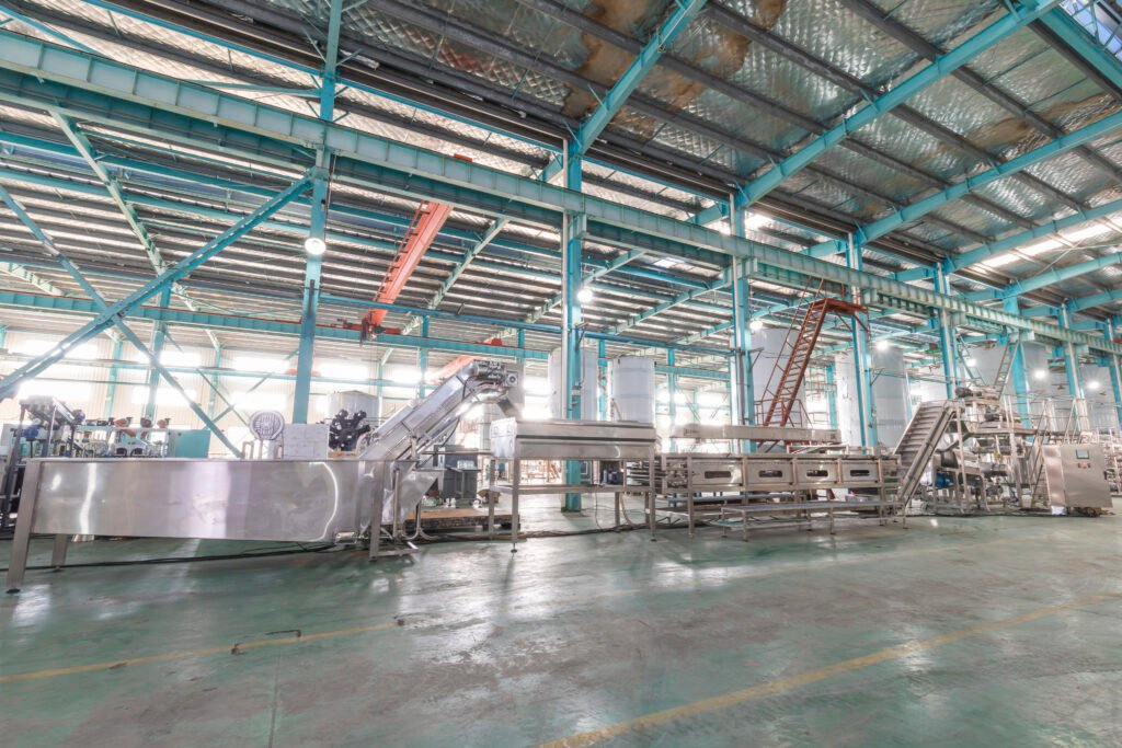 Goldcheer fruit processing line